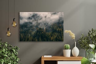 Glezna Mežs miglā, 100x70 cm, Wolf Kult cena un informācija | Gleznas | 220.lv