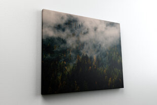 Glezna Mežs miglā, 30x40 cm, Wolf Kult cena un informācija | Gleznas | 220.lv