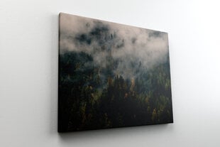 Glezna Mežs miglā, 60x80 cm, Wolf Kult cena un informācija | Gleznas | 220.lv