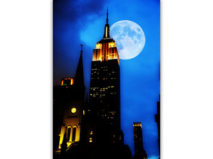 Glezna Mēness gaisma Ņujorkā, 40x60 cm cena un informācija | Gleznas | 220.lv