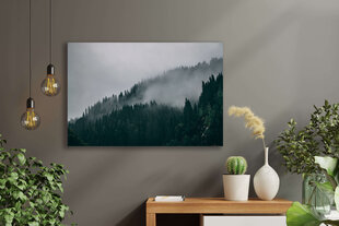 Glezna Miglainais mežs, 100x70 cm, Wolf Kult cena un informācija | Gleznas | 220.lv
