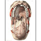 Glezna Mutes dobuma anatomija, 30x40 cm, Wolf Kult цена и информация | Gleznas | 220.lv