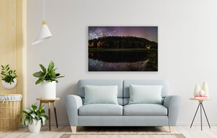 Картина Ночной лес, 100x70 см цена и информация | Картины | 220.lv