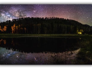 Картина Ночной лес, 100x70 см цена и информация | Картины | 220.lv