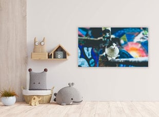 Картина Городская кошка, 100x70 см цена и информация | Картины | 220.lv
