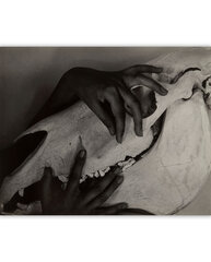 Glezna Rokas un zirga galvaskauss (1931) (Alfrēds Štiglics), 60x50 cm cena un informācija | Gleznas | 220.lv