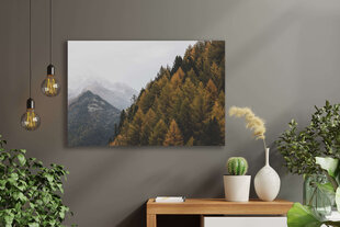 Картина Осенний лес, 30x40 см, Wolf Kult цена и информация | Картины | 220.lv