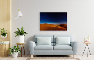Glezna Sarkanais tuksnesis, 100x70 cm cena un informācija | Gleznas | 220.lv
