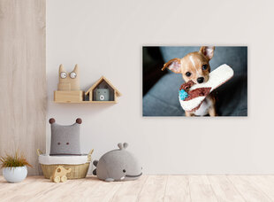 Картина Собака с тапочкой, 30x40 см цена и информация | Картины | 220.lv