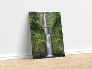 Картина Мост в джунглях, 100x70 см цена и информация | Картины | 220.lv