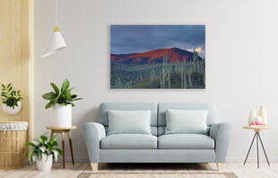 Glezna Tuksnesis krēslā, 100 x 70 cm цена и информация | Картины | 220.lv