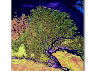 Картина Река из космоса, 30x40 см цена и информация | Картины | 220.lv