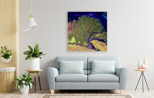 Картина Река из космоса, 40x60 см цена и информация | Картины | 220.lv