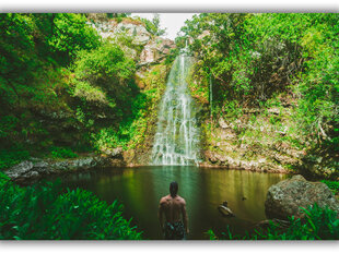 Картина Водопад в джунглях, 100x70 см цена и информация | Картины | 220.lv