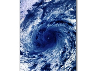 Картина Буря, 40x60 см цена и информация | Картины | 220.lv