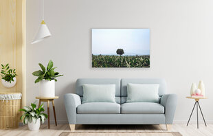 Картина Одинокое дерево, 60x80 см цена и информация | Картины | 220.lv