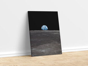 Glezna Zeme no Mēness, 30x40 cm cena un informācija | Gleznas | 220.lv