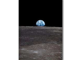 Glezna Zeme no Mēness, 60x80 cm cena un informācija | Gleznas | 220.lv
