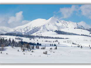 Картина Зимний пейзаж, 100x70 см цена и информация | Картины | 220.lv