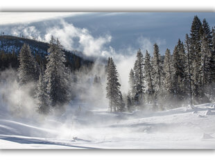 Картина Зимний туман, 60x80 см цена и информация | Картины | 220.lv