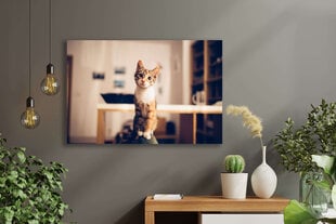Картина Любопытная кошка, 100x70 см, Wolf Kult цена и информация | Картины | 220.lv
