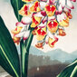 Gleznas reprodukcija Klanošā renealmija (Roberts Džons Torntons, 1808) reprodukcija, 40x60 cm цена и информация | Gleznas | 220.lv