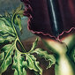 Plakāts Dragonārums, 59x84 cm (A1), цена и информация | Gleznas | 220.lv