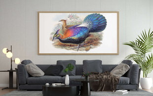 Plakāts Eksotiskais putns, 42x59 cm (A2), Wolf Kult cena un informācija | Gleznas | 220.lv