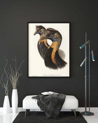 Plakāts Kazuārs, 42x59 cm (A2), Wolf Kult цена и информация | Картины | 220.lv