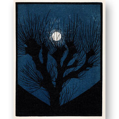 Plakāts Mēness gaisma, 42x59 cm (A2), Wolf Kult cena un informācija | Gleznas | 220.lv