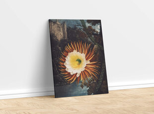 Плакат Ночной Цереус, 42x59см (А2), цена и информация | Картины | 220.lv
