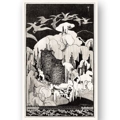 Плакат Совы, 59x84 см (A1), Wolf Kult цена и информация | Картины | 220.lv