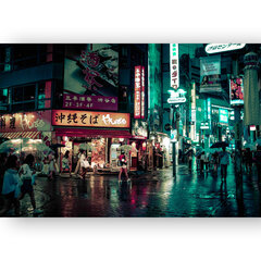 Плакат Улица Токио, 59x84 см (A1), Wolf Kult цена и информация | Картины | 220.lv