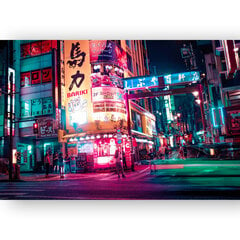 Plakāts Tokijas ielas, 59x84 cm (A1), Wolf Kult cena un informācija | Gleznas | 220.lv