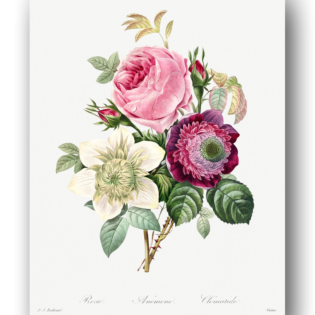 Plakāts Vintāžas ziedi III, 42x59 cm (A2), Wolf Kult cena un informācija | Gleznas | 220.lv