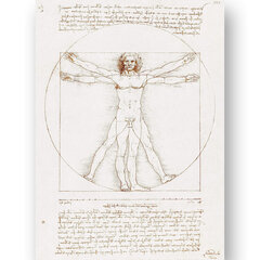 Plakāts Vitrūvija cilvēks, Leonardo da Vinči, 42x59 cm (A2), Wolf Kult cena un informācija | Gleznas | 220.lv