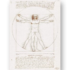 Plakāts Vitrūvija cilvēks, Leonardo da Vinči, 59 x 84 cm (A1), Wolf Kult цена и информация | Картины | 220.lv