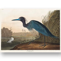 Плакат Синяя птица, 42x59 см (A2), Wolf Kult цена и информация | Картины | 220.lv