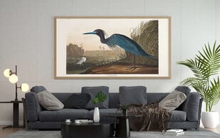 Плакат Синяя птица, 59x84 см (A1), Wolf Kult цена и информация | Картины | 220.lv