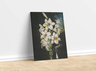 Репродукция Белая лилия (Роберт Джон Торнтон (1808)), 30x40 см цена и информация | Картины | 220.lv