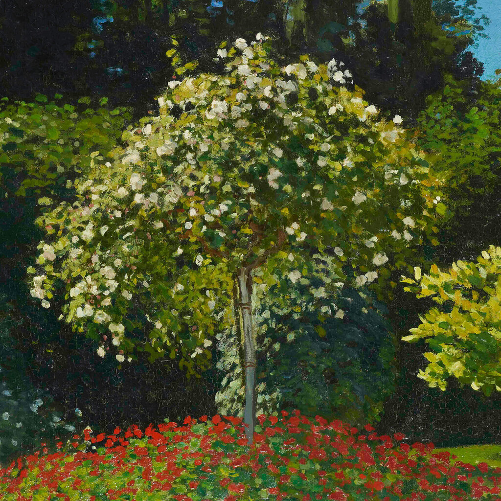 Reprodukcija Dāma dārzā (Klods Monē), 60x80 cm cena un informācija | Gleznas | 220.lv