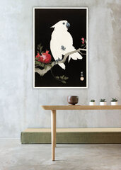 Reprodukcija Kakadu un granātābols (Ohara Kosona), 100x70 cm cena un informācija | Gleznas | 220.lv