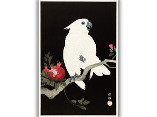 Reprodukcija Kakadu un granātābols (Ohara Kosona), 40x60 cm cena un informācija | Gleznas | 220.lv
