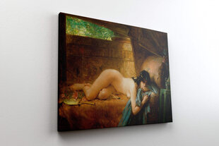 Reprodukcija Leģendārā tunika (Leons Fransuā Komers), 30x40 cm cena un informācija | Gleznas | 220.lv