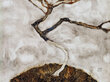Reprodukcija Mazais koks vēlā rudenī (Egons Šīle), 60x50 cm цена и информация | Gleznas | 220.lv