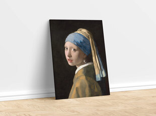 Reprodukcija Meitene ar pērļu auskaru (Johans Vermērs), 40x60 cm cena un informācija | Gleznas | 220.lv