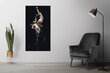 Reprodukcija Mēness daiļavas (Luiss Rikardo Falero), 80x40 cm цена и информация | Gleznas | 220.lv