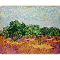 Репродукция Оливковые деревья (Винсент Ван Гог), 40 x 60 см цена и информация | Картины | 220.lv