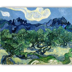 Репродукция Оливковые деревья на фоне Альпий (Винсент Ван Гог), 100x70 см цена и информация | Картины | 220.lv