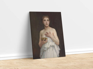 Reprodukcija Pandora (Viljams Bugro), 30x40 cm cena un informācija | Gleznas | 220.lv